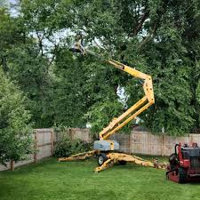 Best Tree Maintenance Programs  in Boonsboro, MD